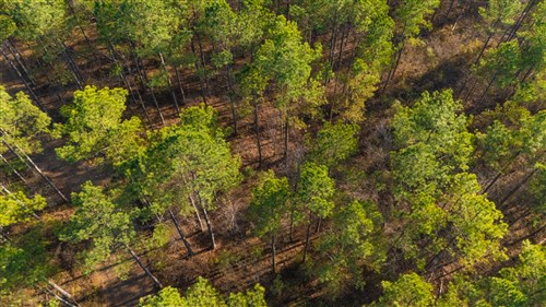 Lightning Ridge Tract 120