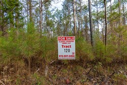 Lightning Ridge Tract 120