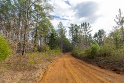 Lightning Ridge Tract 120