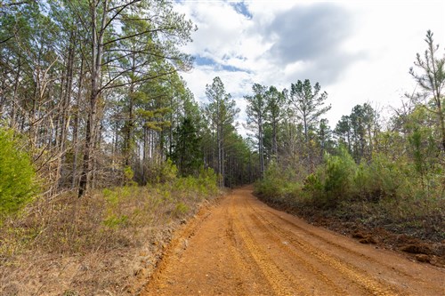 Lightning Ridge Tract 120
