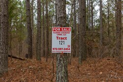 Lightning Ridge Tract 121