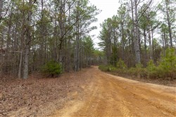 Lightning Ridge Tract 121