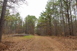 Lightning Ridge Tract 121