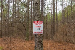 Lightning Ridge Tract 122