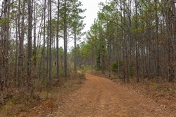 Lightning Ridge Tract 122