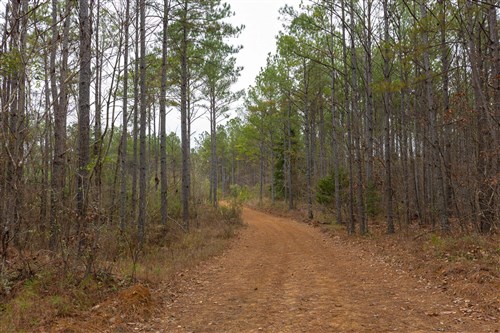 Lightning Ridge Tract 122