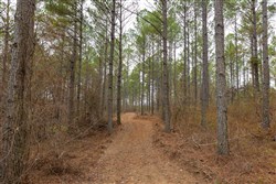 Lightning Ridge Tract 122