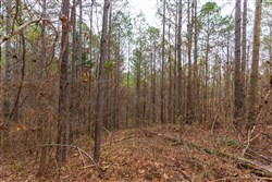 Lightning Ridge Tract 122