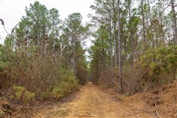 Lightning Ridge Tract 122