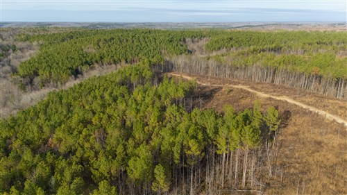 Lightning Ridge Tract 123