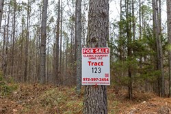 Lightning Ridge Tract 123