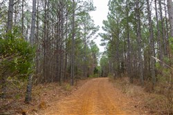 Lightning Ridge Tract 123