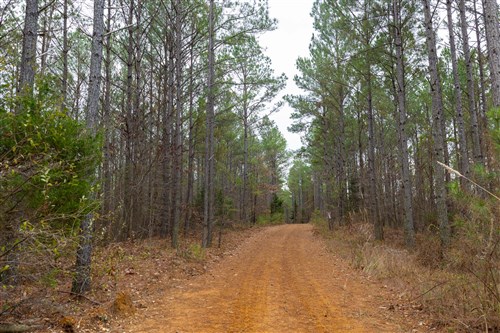 Lightning Ridge Tract 123