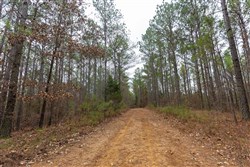 Lightning Ridge Tract 123