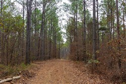 Lightning Ridge Tract 123