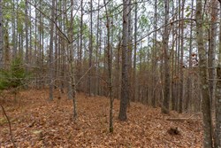 Lightning Ridge Tract 123