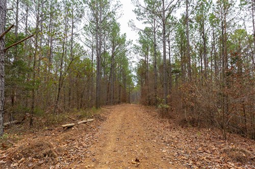 Lightning Ridge Tract 124