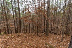 Lightning Ridge Tract 124