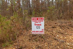 Lightning Ridge Tract 125