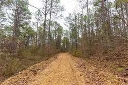 Lightning Ridge Tract 125