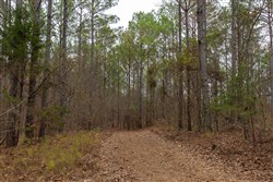 Lightning Ridge Tract 126