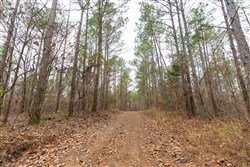 Lightning Ridge Tract 126