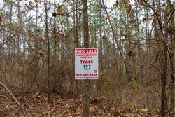 Lightning Ridge Tract 127