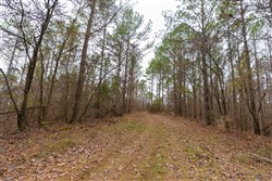 Lightning Ridge Tract 127