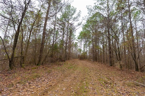 Lightning Ridge Tract 127