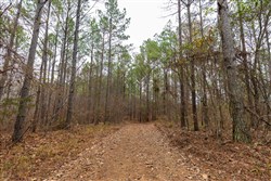 Lightning Ridge Tract 127