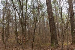 Lightning Ridge Tract 127