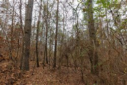 Lightning Ridge Tract 127