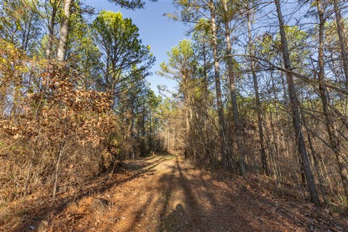 Lightning Ridge Tract 128