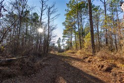 Lightning Ridge Tract 128