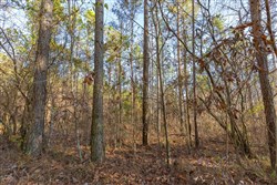 Lightning Ridge Tract 128