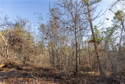 Lightning Ridge Tract 128