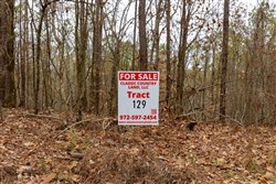 Lightning Ridge Tract 129