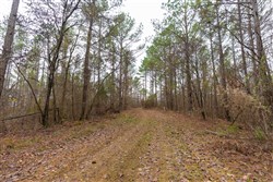 Lightning Ridge Tract 129