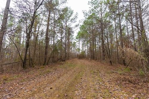 Lightning Ridge Tract 129