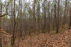 Lightning Ridge Tract 129