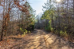 Lightning Ridge Tract 13