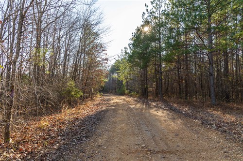 Lightning Ridge Tract 13