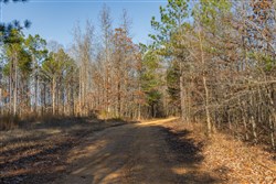 Lightning Ridge Tract 13