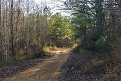 Lightning Ridge Tract 13
