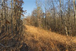 Lightning Ridge Tract 13