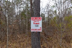 Lightning Ridge Tract 130