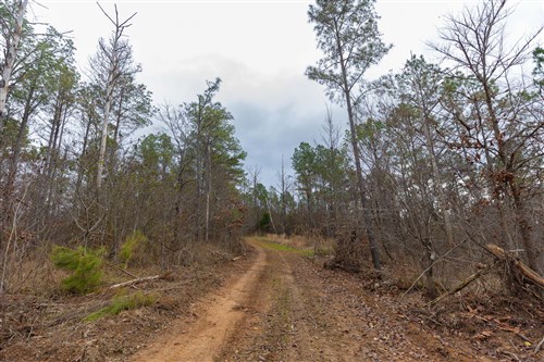 Lightning Ridge Tract 130