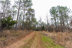 Lightning Ridge Tract 130