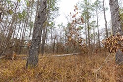 Lightning Ridge Tract 130