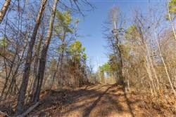 Lightning Ridge Tract 131